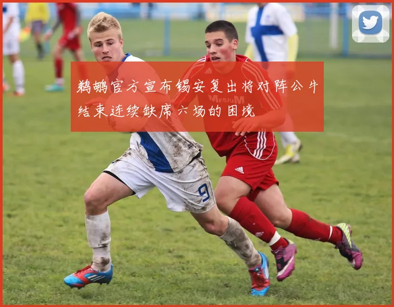 鹈鹕官方宣布锡安复出将对阵公牛结束连续缺席六场的困境