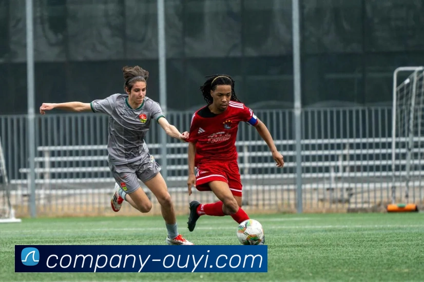 奖项证书